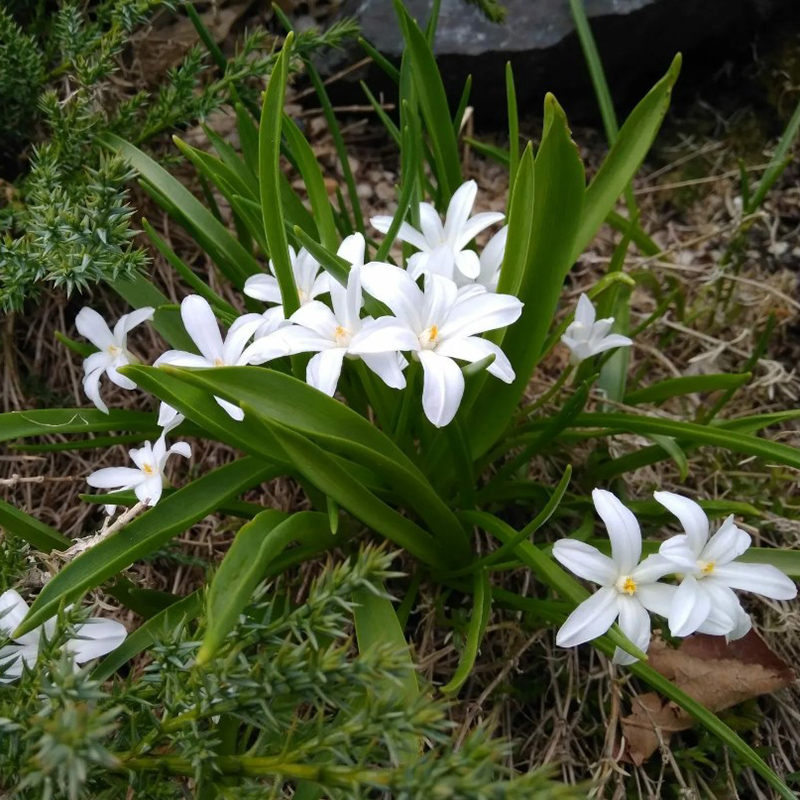 Превью изображения