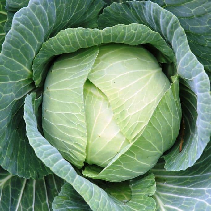 Превью изображения