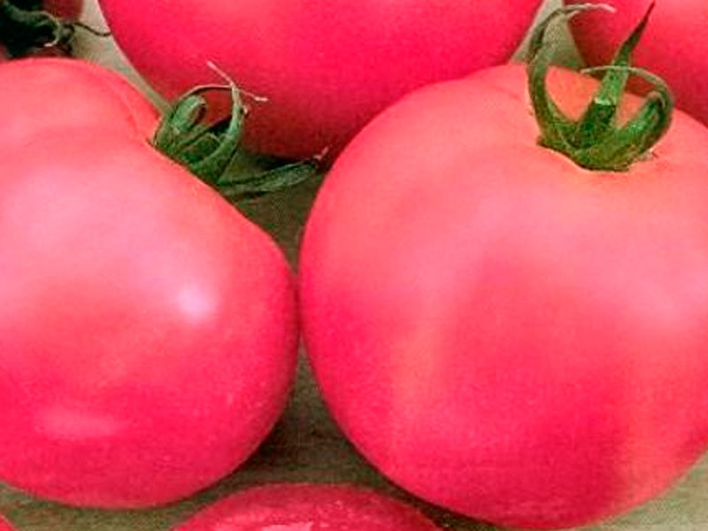 Превью изображения