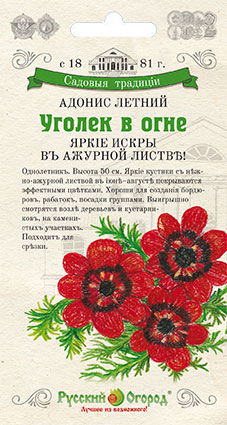 Превью изображения