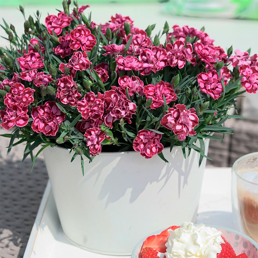 Превью изображения