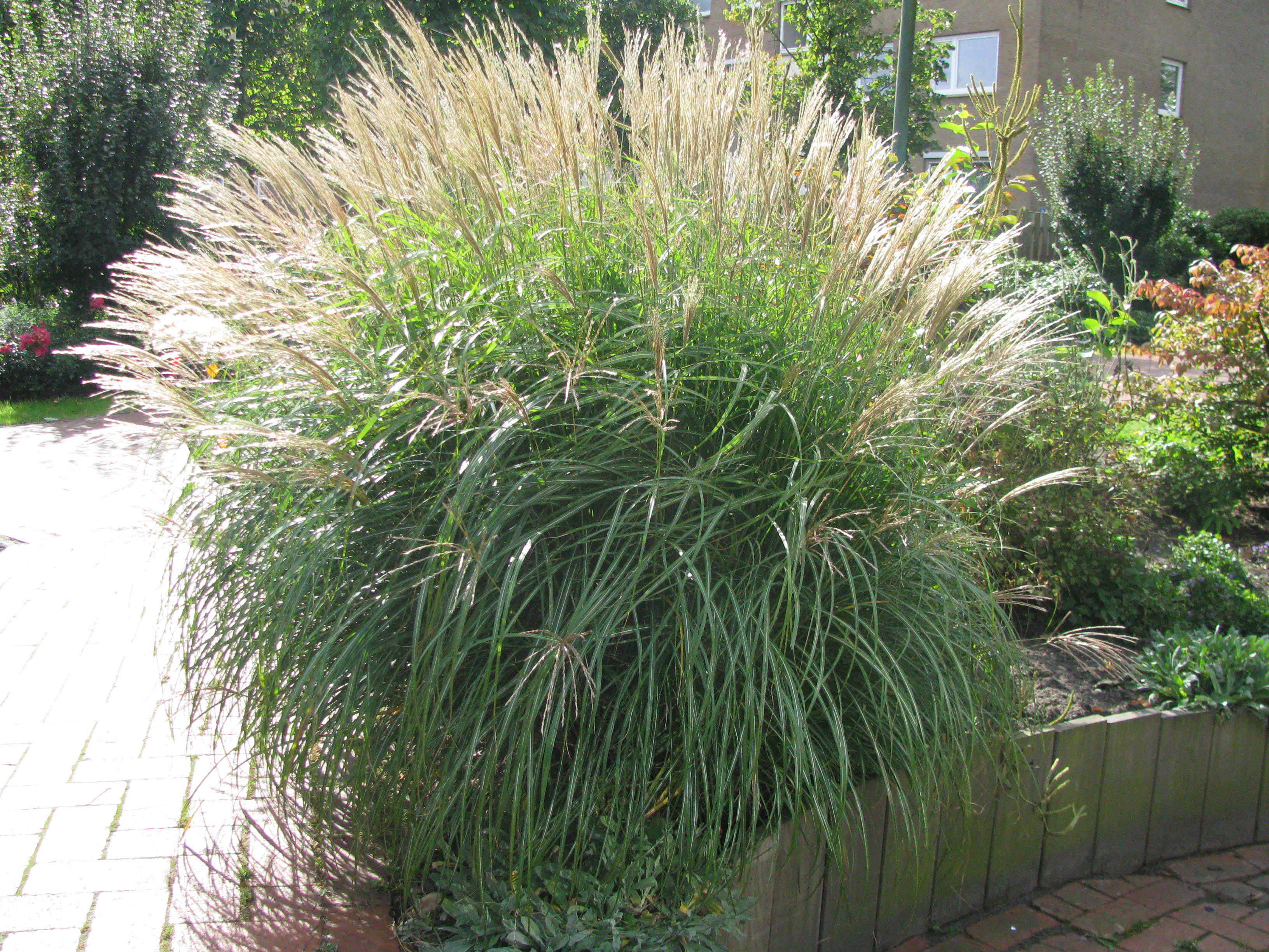 Превью изображения