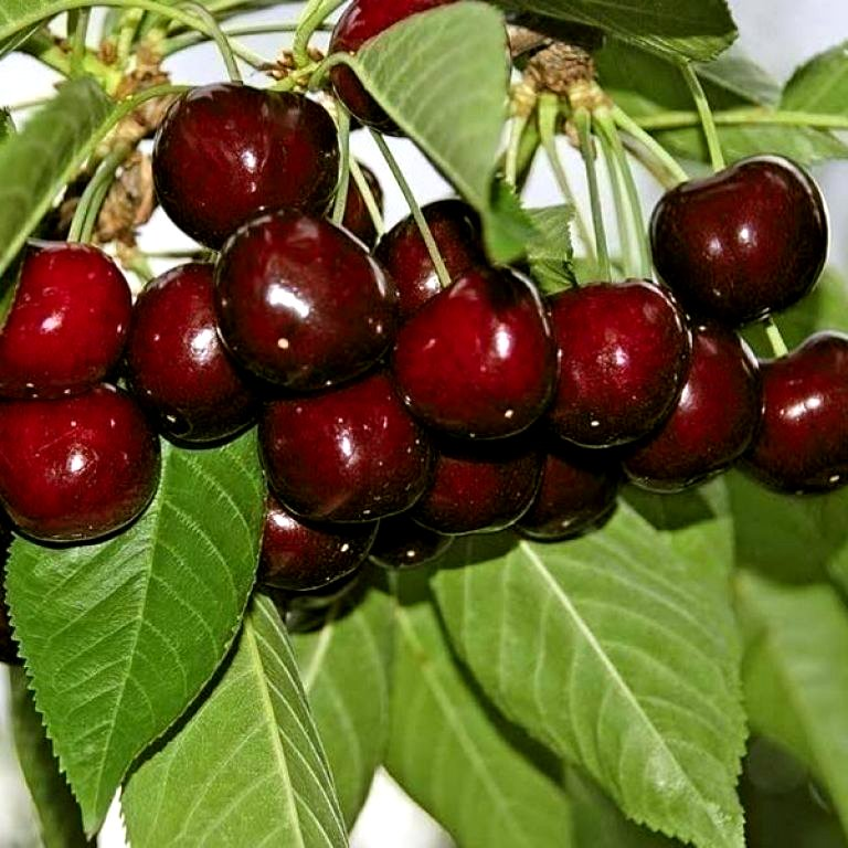 Превью изображения