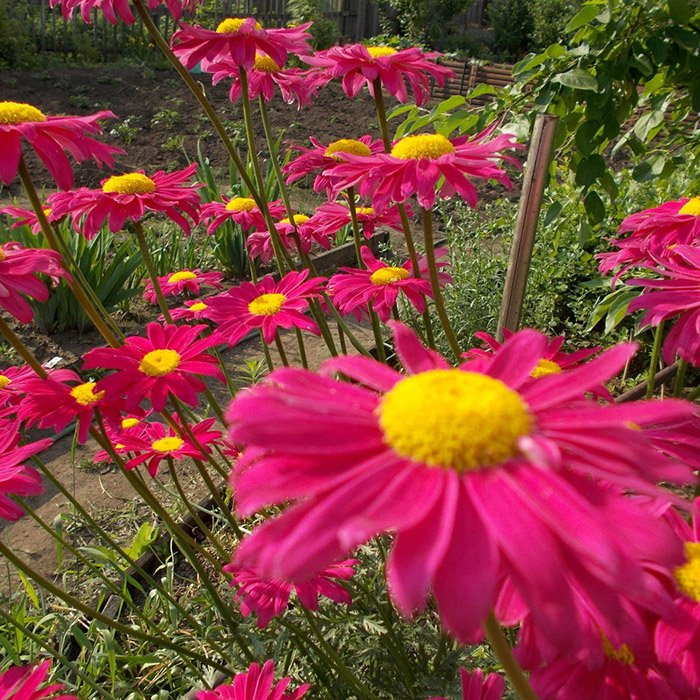 Превью изображения