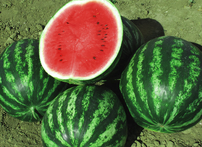 Превью изображения