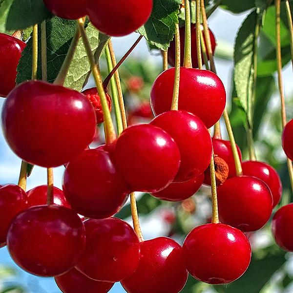 Превью изображения