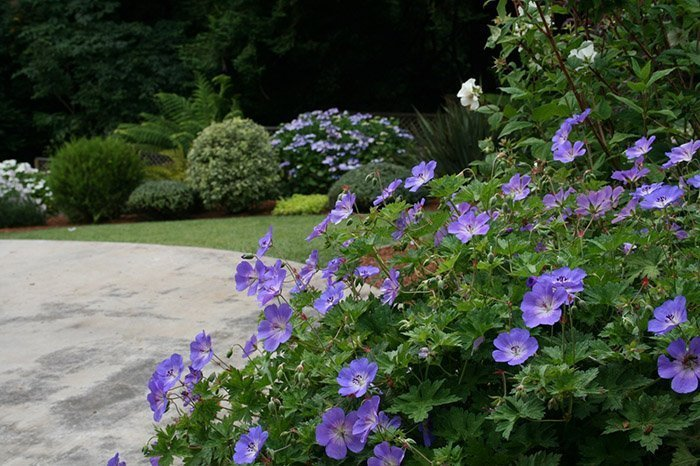 Превью изображения