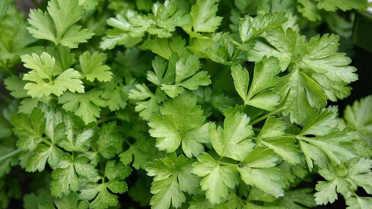 Превью изображения