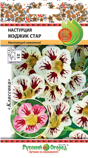 Превью изображения