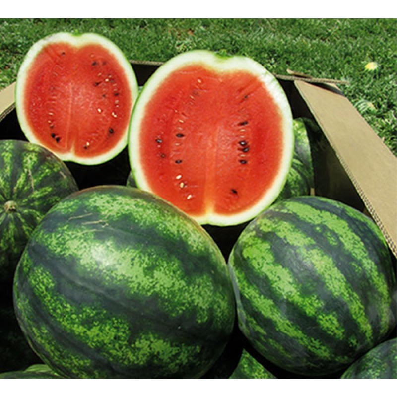 Превью изображения