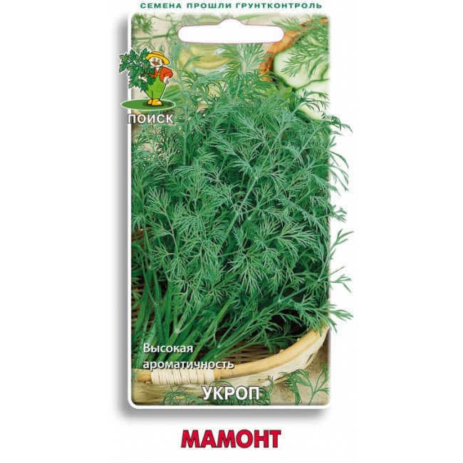 Превью изображения