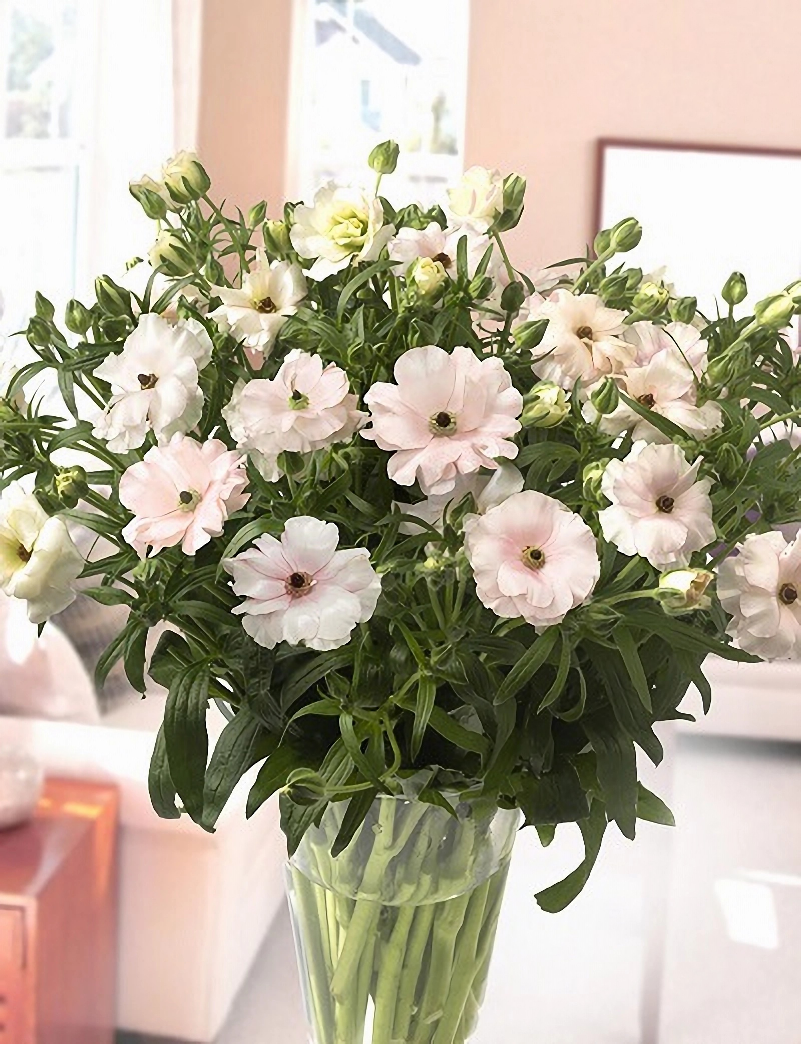 Превью изображения