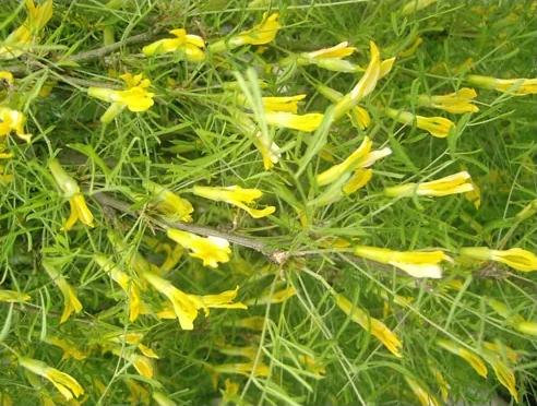 Превью изображения