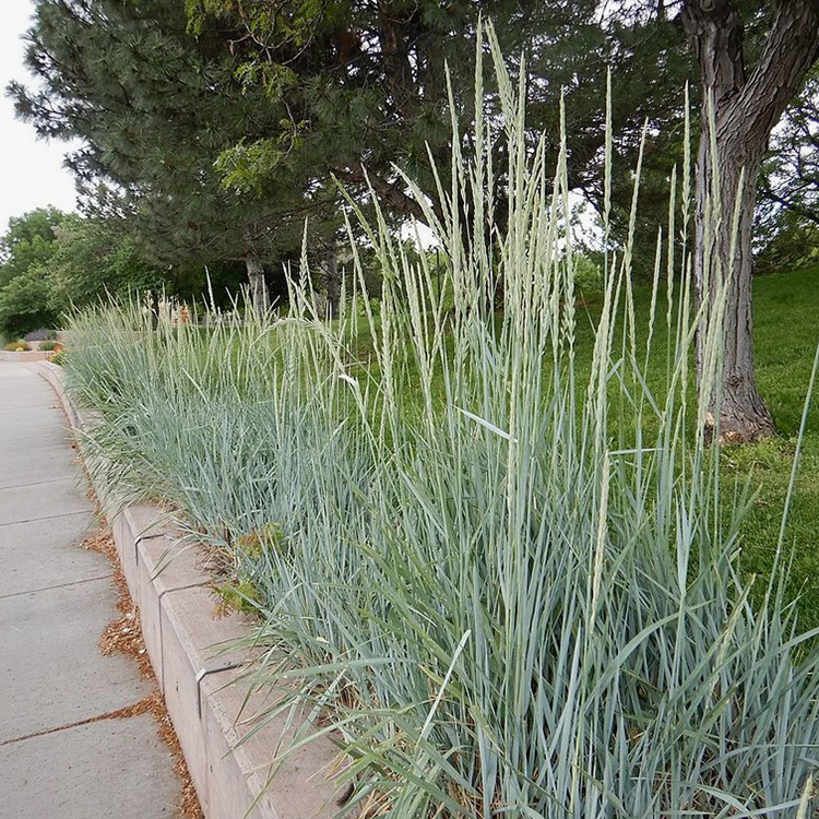 Превью изображения