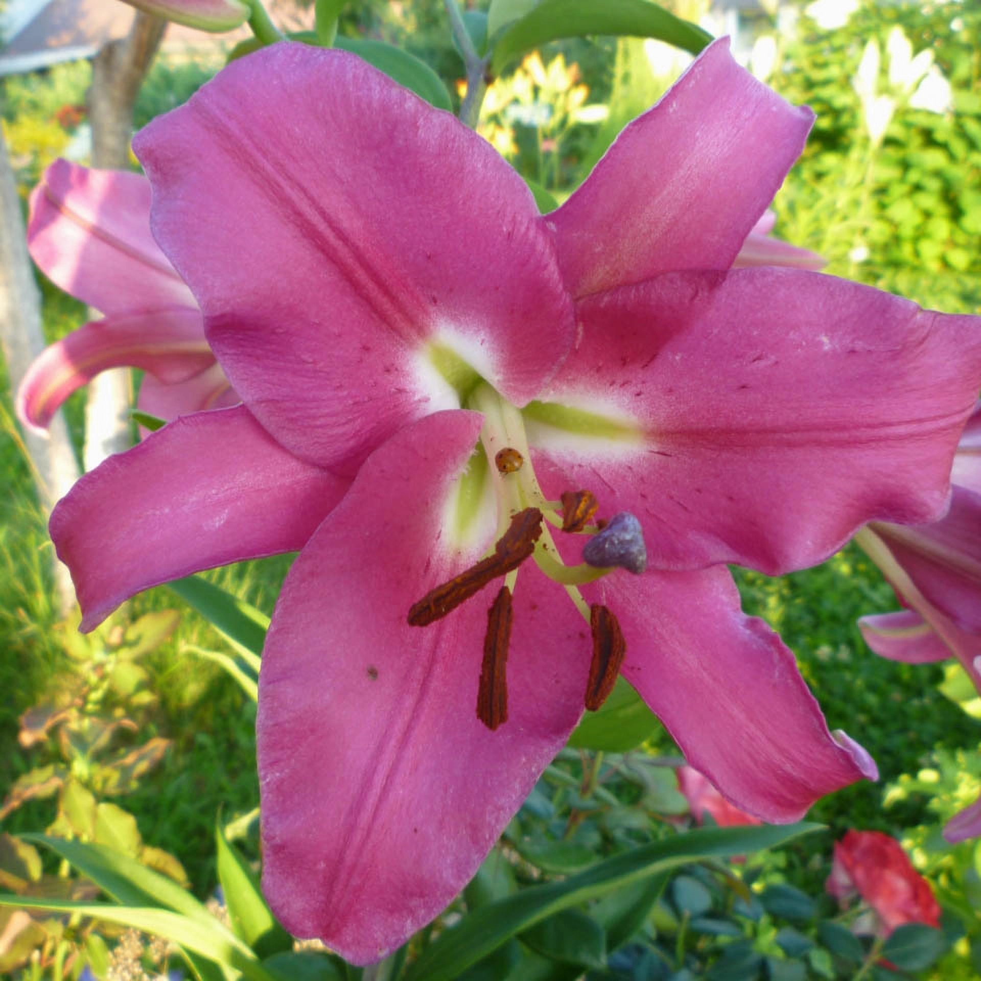 Превью изображения