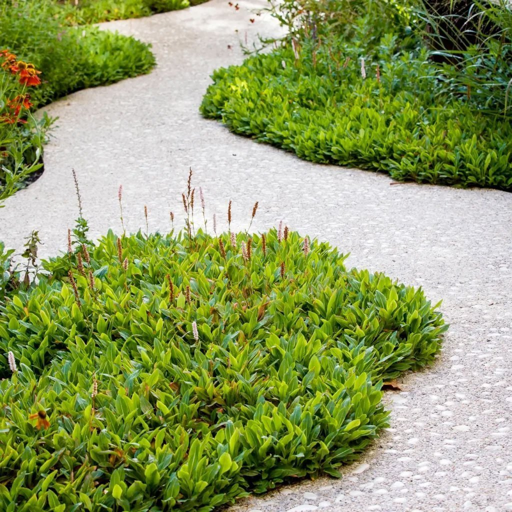 Превью изображения