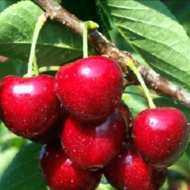 Превью изображения