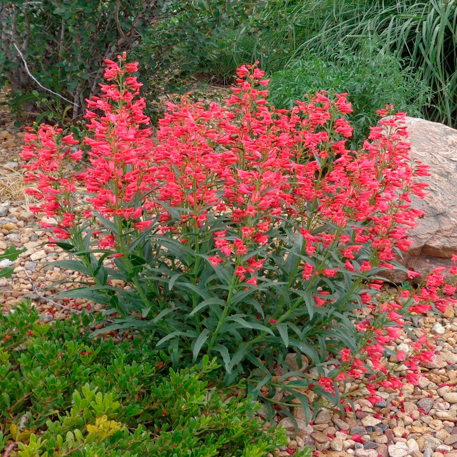 Превью изображения