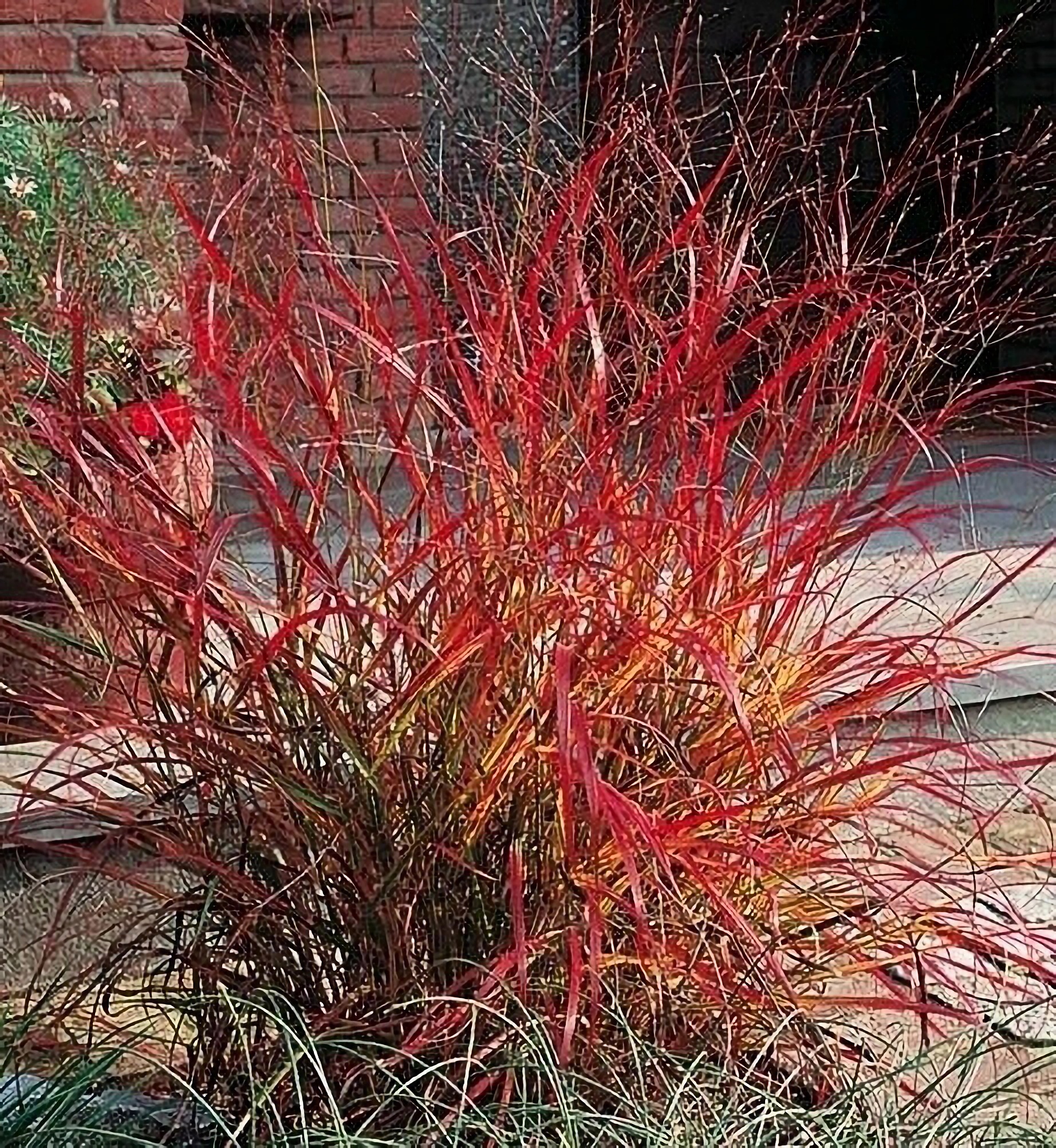 Превью изображения