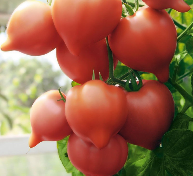 Превью изображения