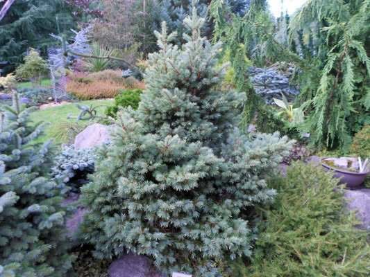 Превью изображения