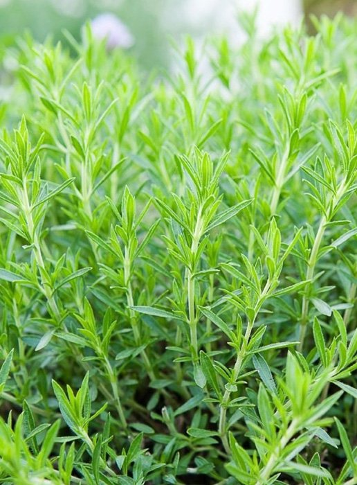 Превью изображения