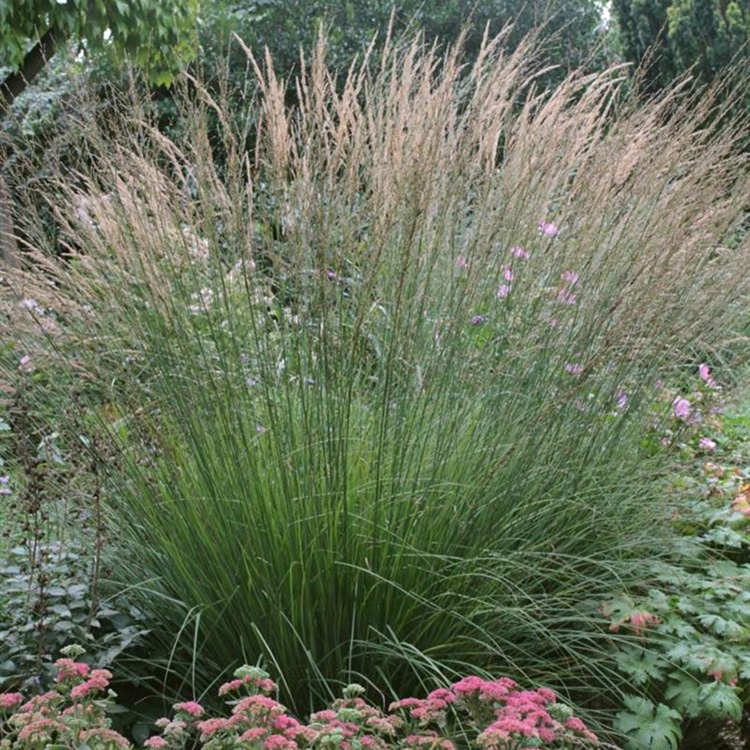 Превью изображения