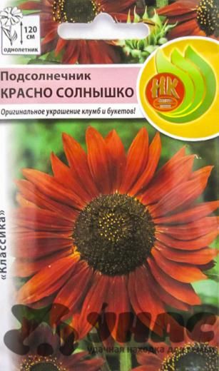 Превью изображения