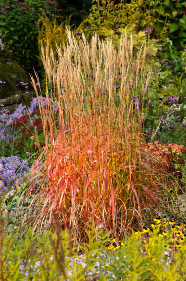 Превью изображения