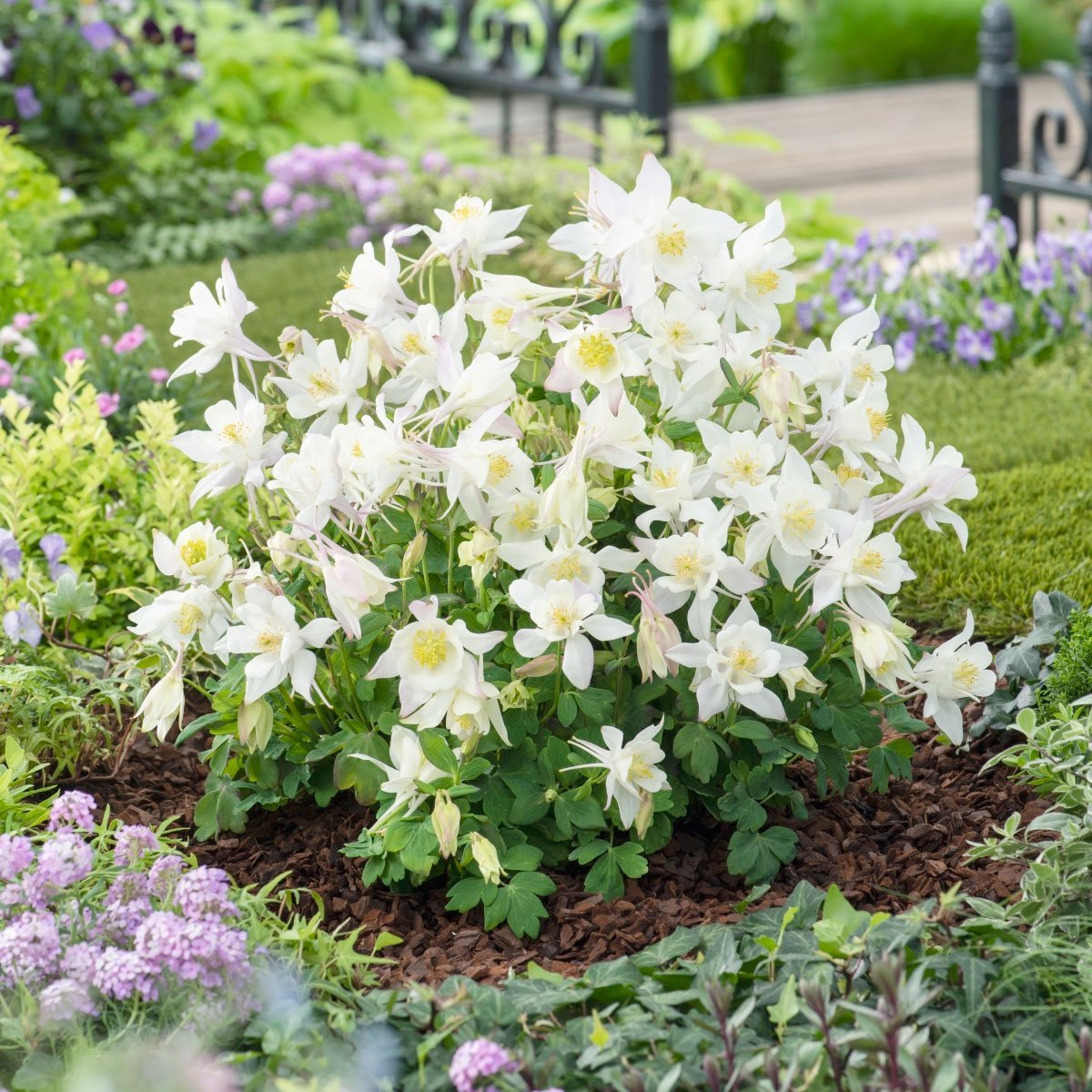 Превью изображения