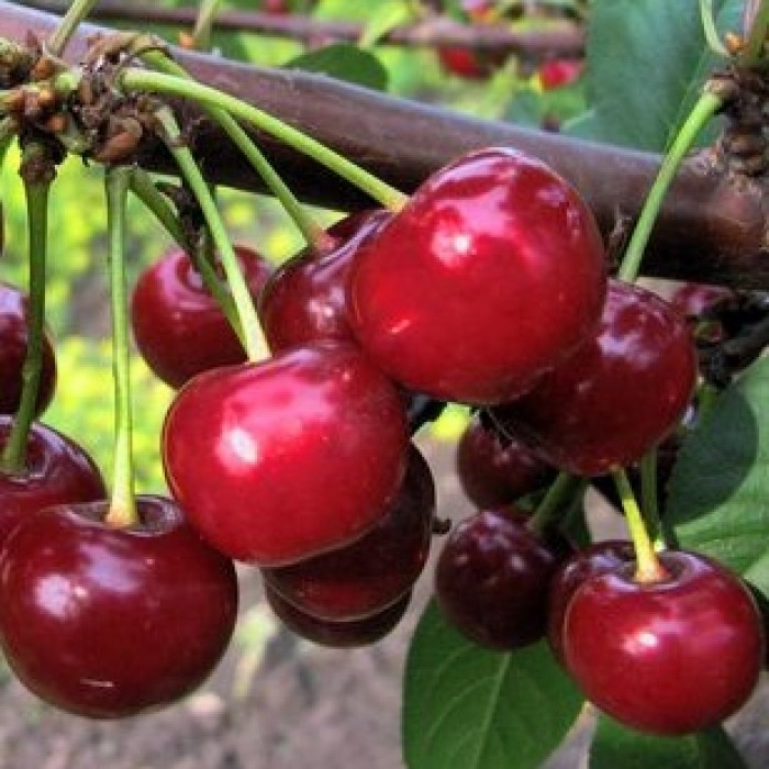 Превью изображения