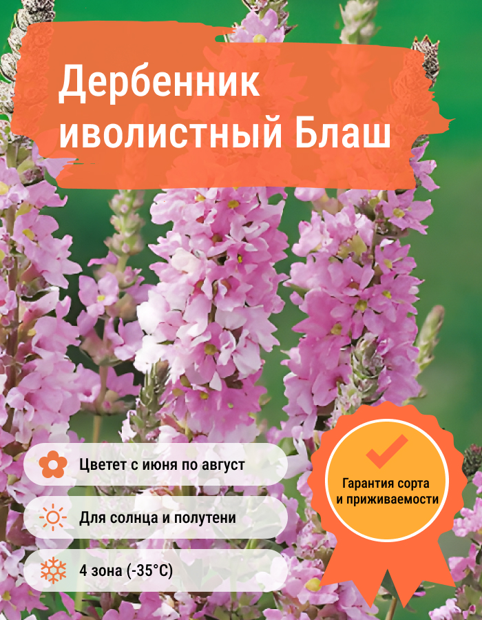 Превью изображения