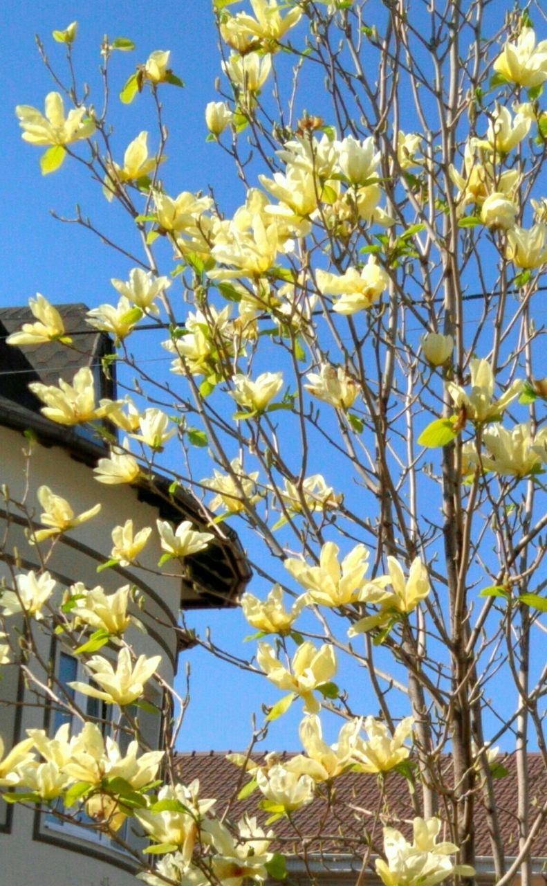 Превью изображения