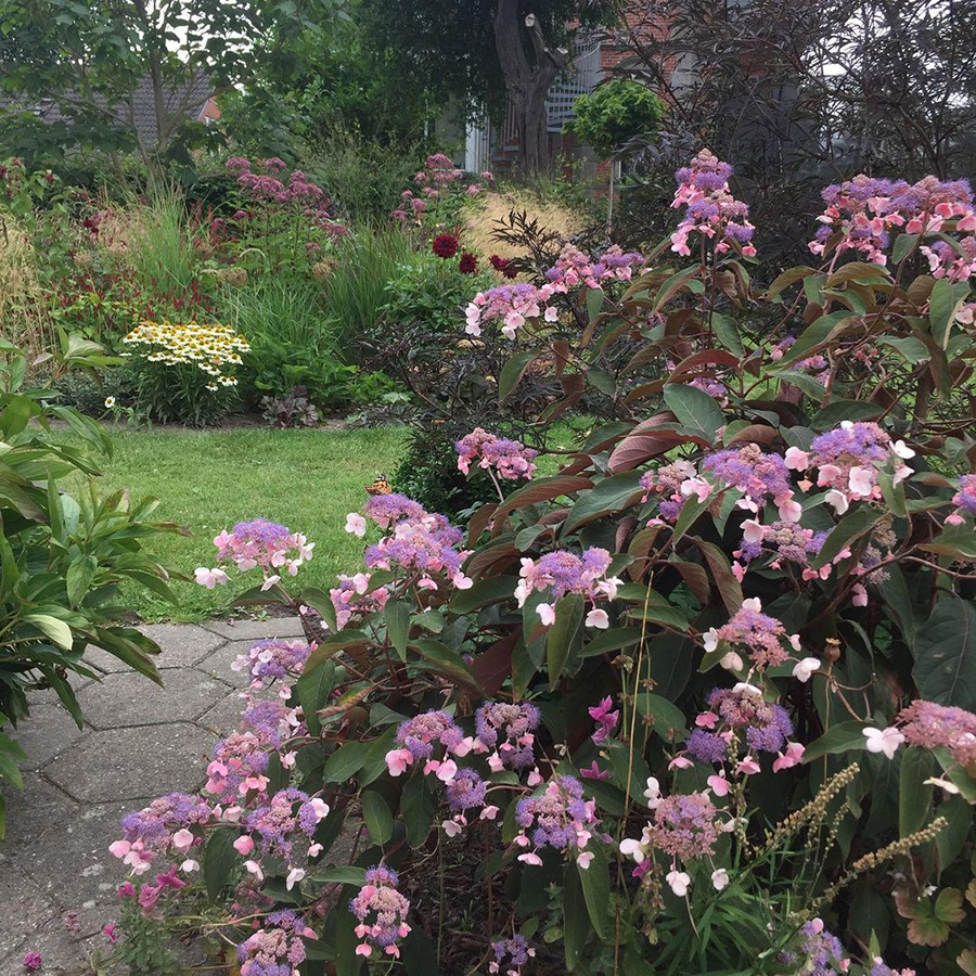 Превью изображения