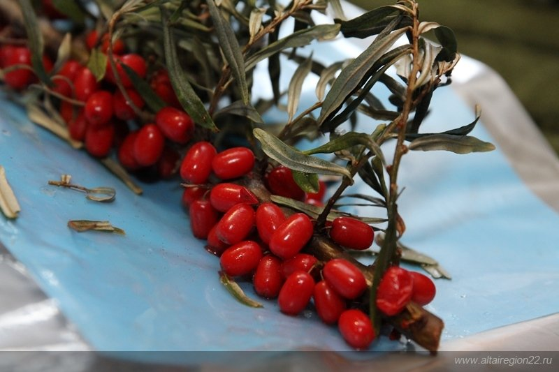 Превью изображения