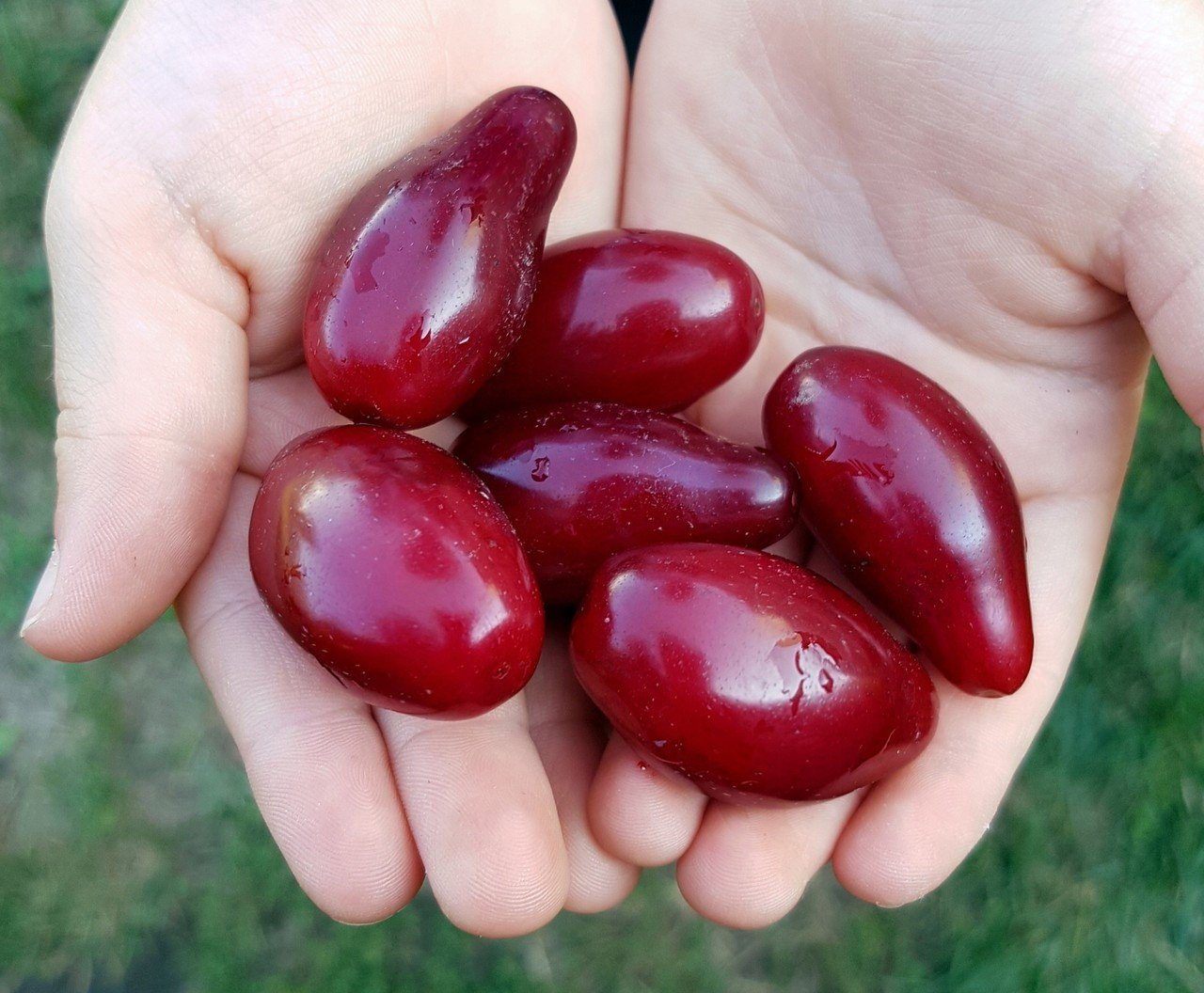 Превью изображения