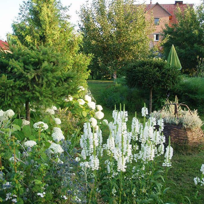 Превью изображения