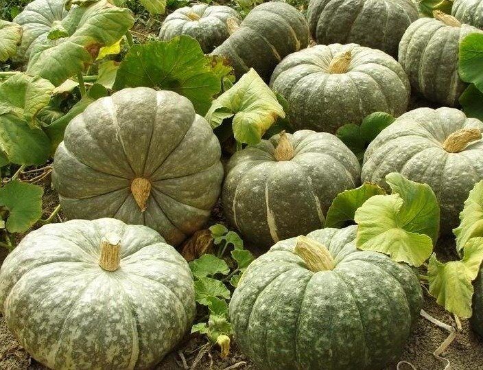 Превью изображения