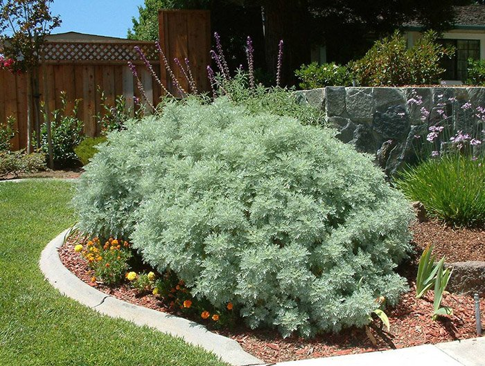 Превью изображения