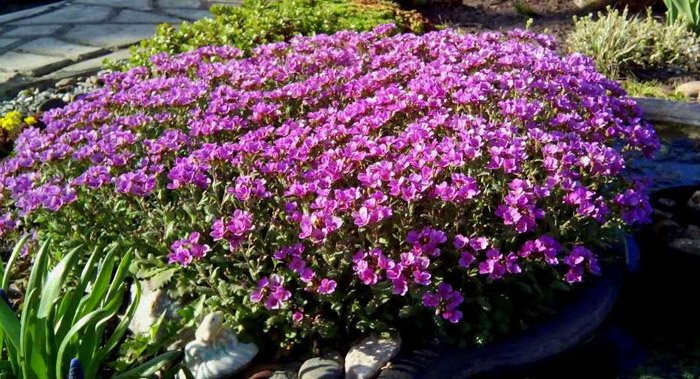 Превью изображения