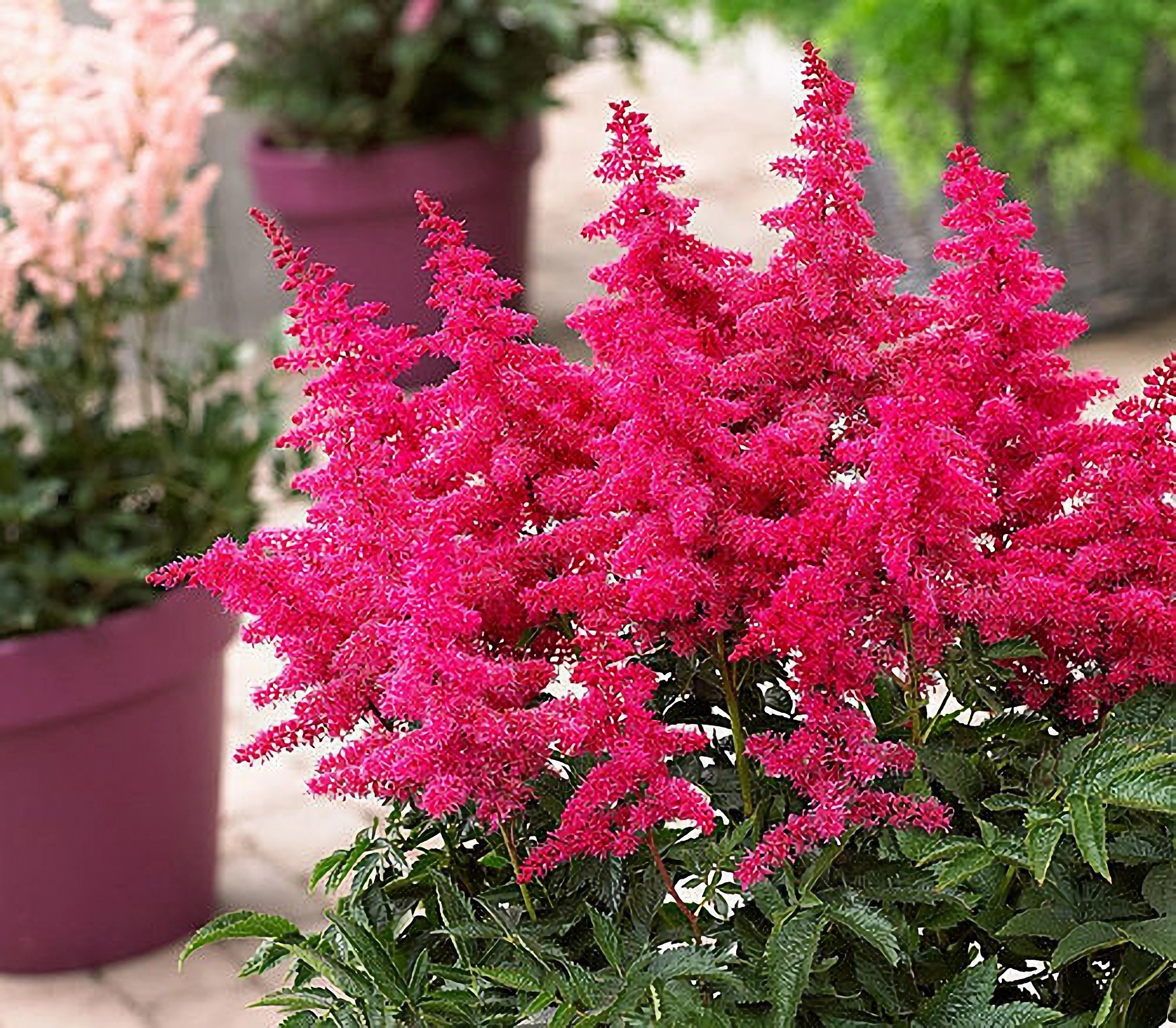 Превью изображения