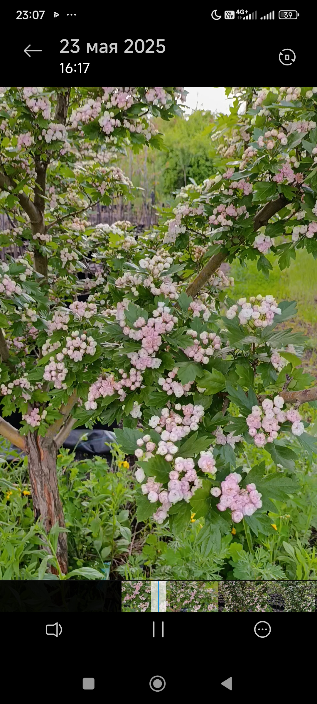 Превью изображения