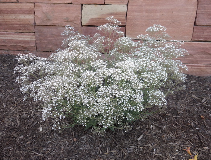 Превью изображения