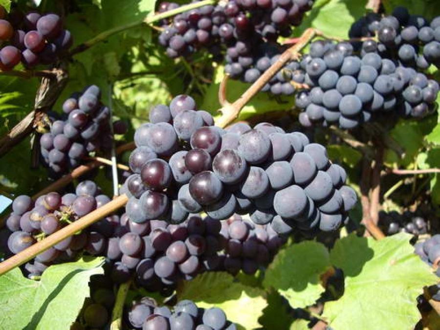 Превью изображения