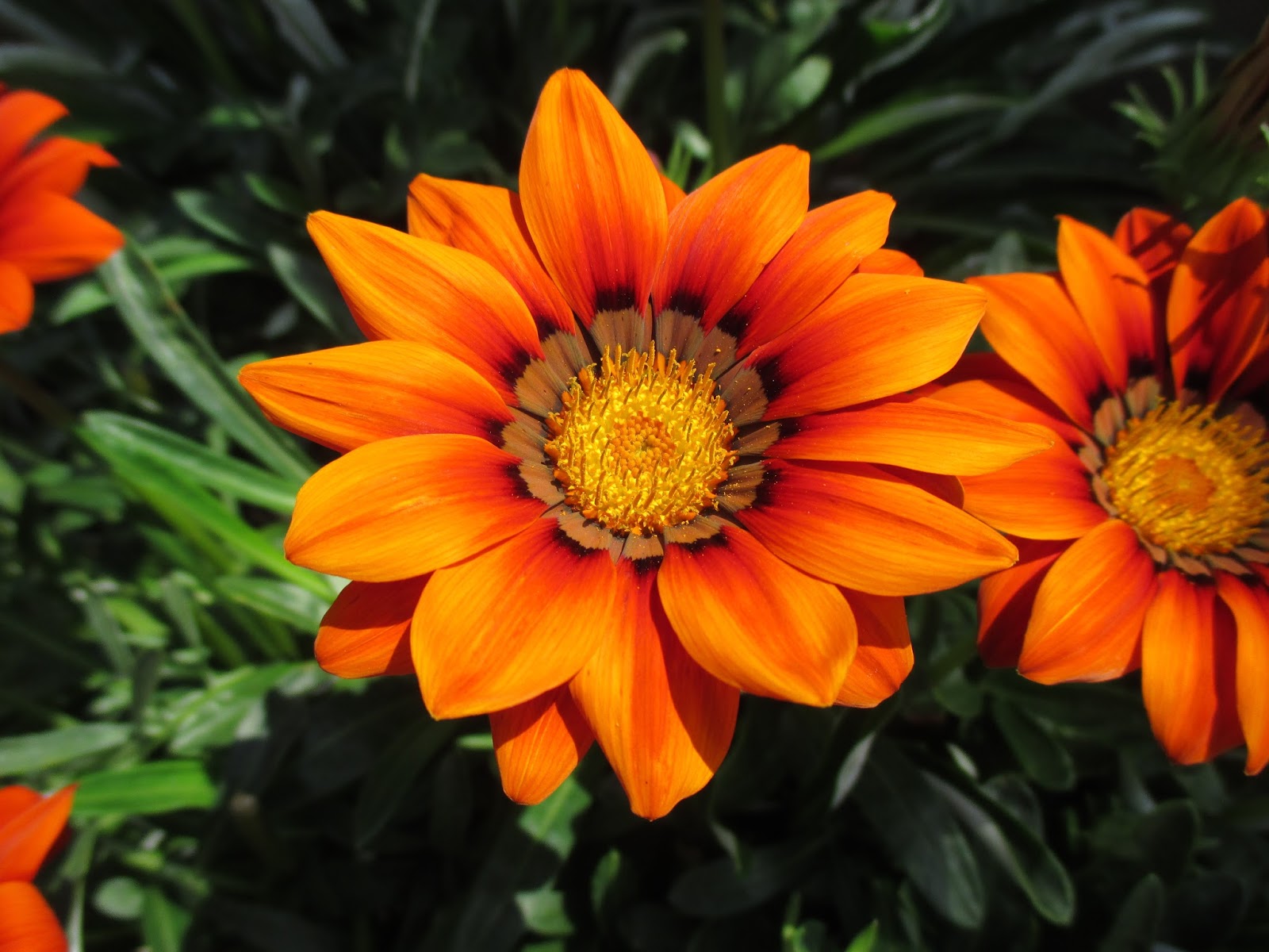 Превью изображения