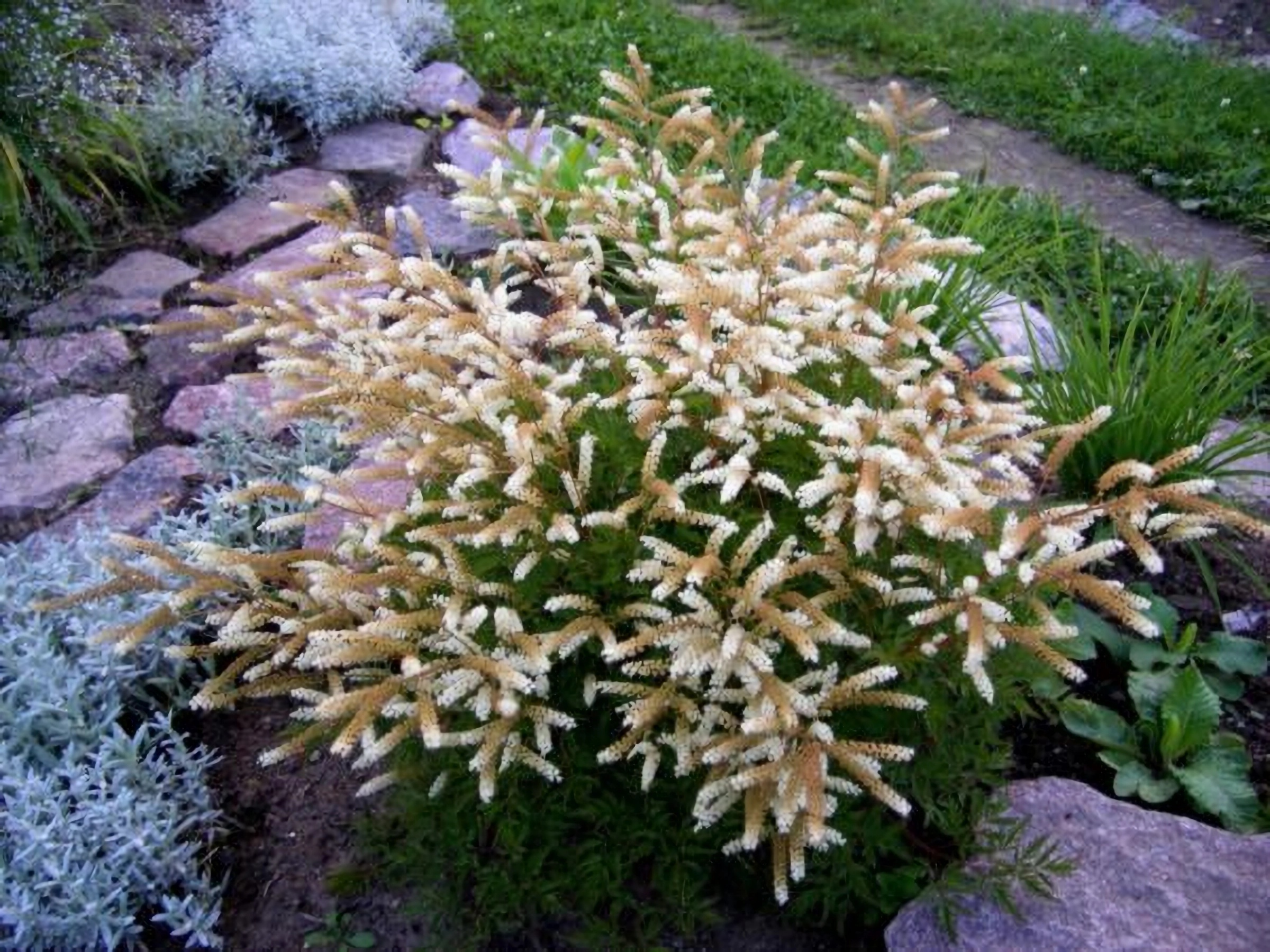 Превью изображения