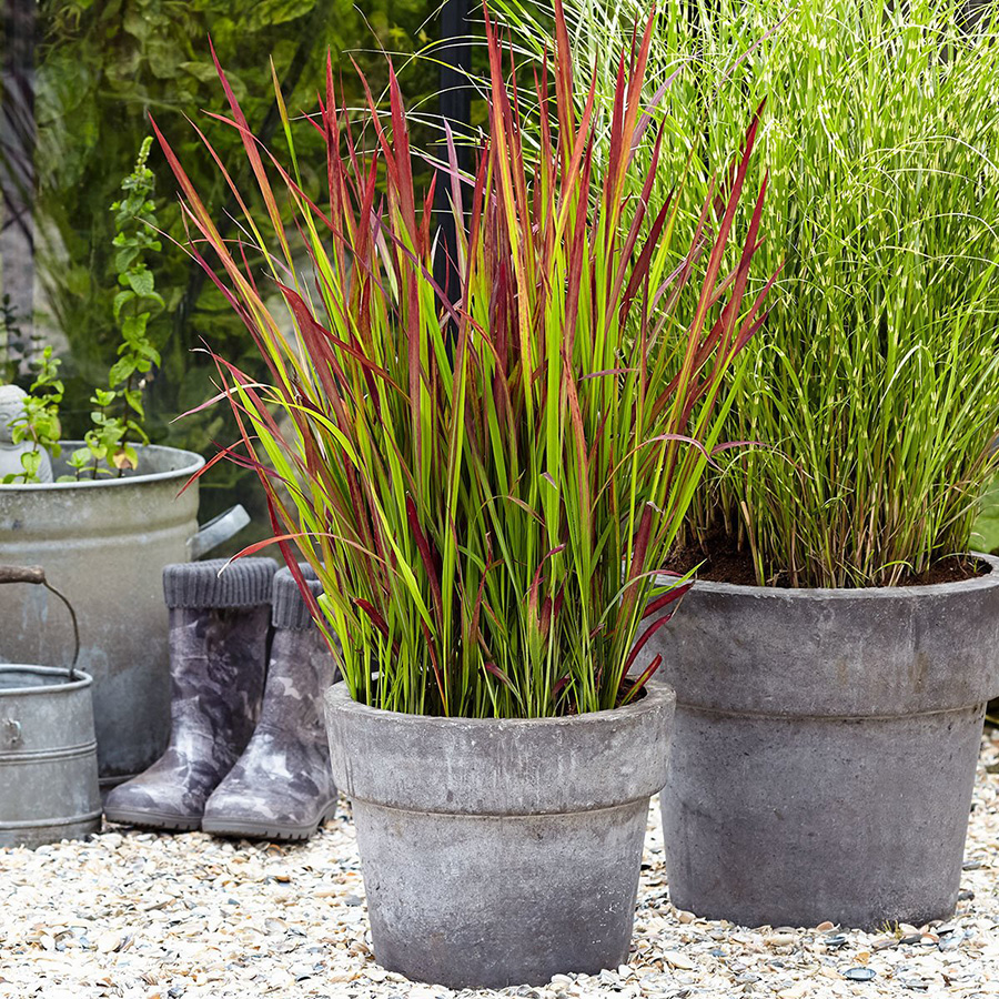 Превью изображения