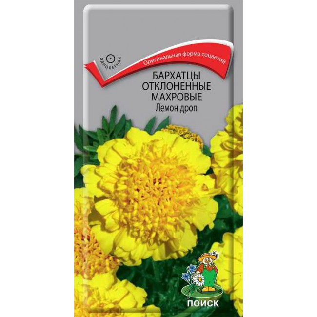 Превью изображения
