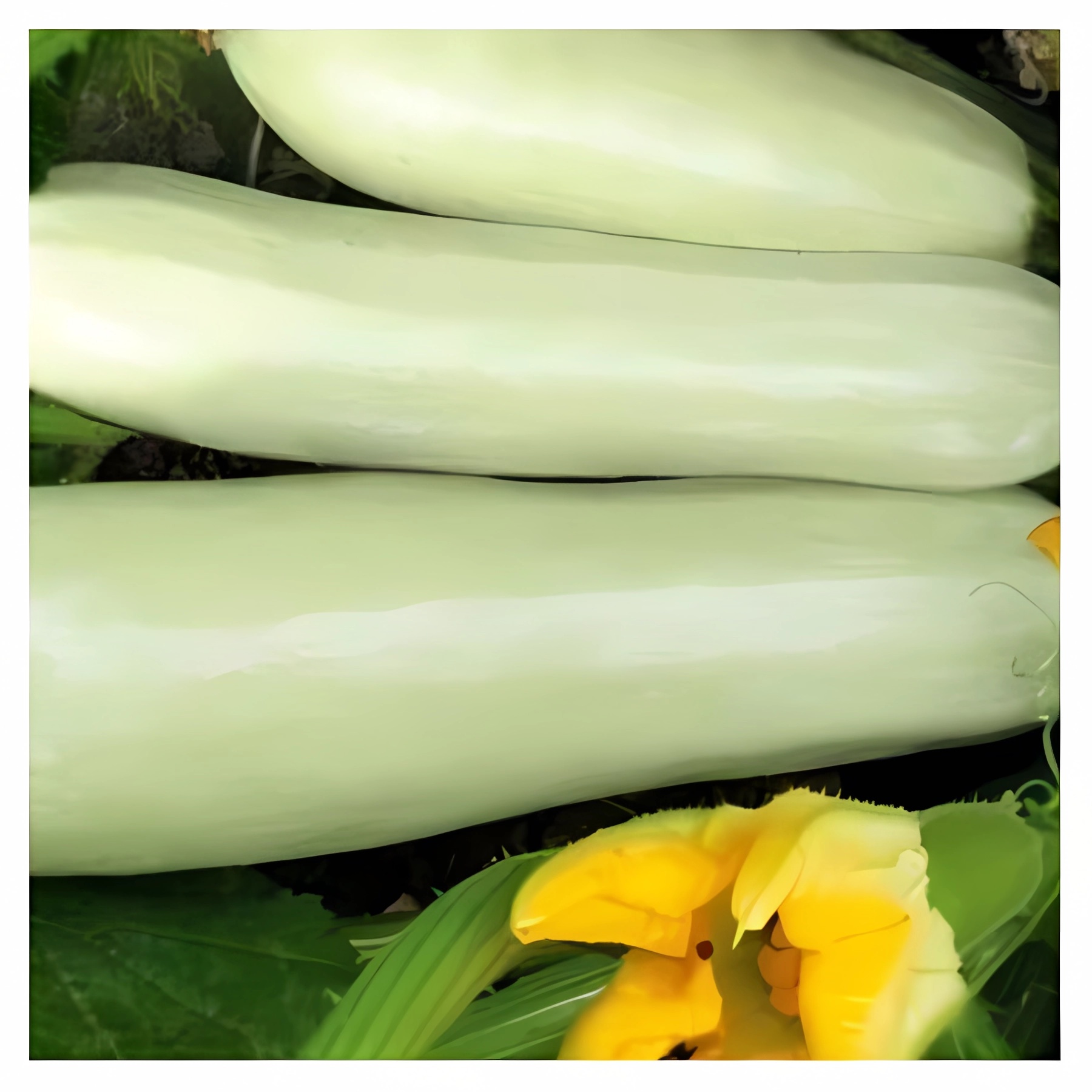 Превью изображения