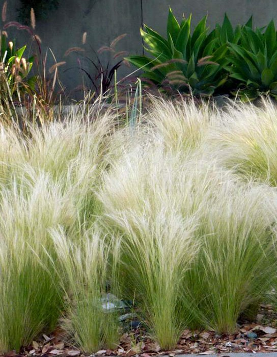 Превью изображения